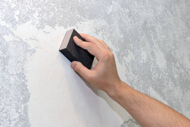 Best Mold Prevention Services  in Estero, FL