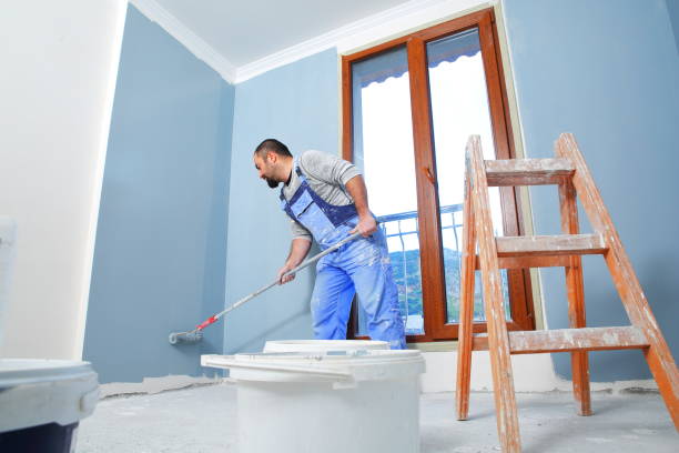 Best Emergency Mold Remediation  in Estero, FL