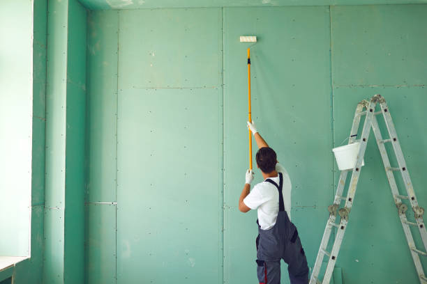 Best Attic Mold Removal  in Estero, FL