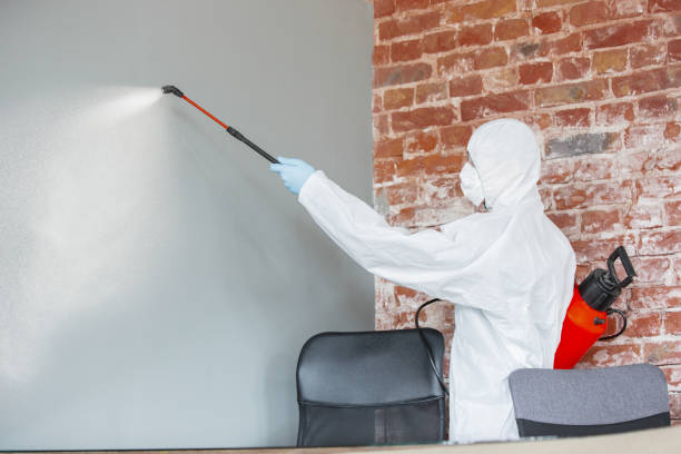 Best Airborne Mold Testing  in Estero, FL